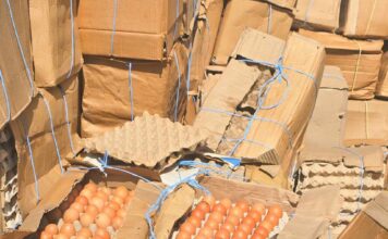 Gaoua : la Direction régionale de l’Industrie, du Commerce et de l’Artisanat de la région de Djôrô a saisi 6000 plaquettes d’œufs impropre à la consommation