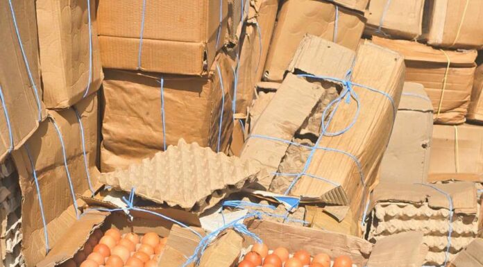 Gaoua : la Direction régionale de l’Industrie, du Commerce et de l’Artisanat de la région de Djôrô a saisi 6000 plaquettes d’œufs impropre à la consommation