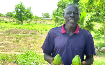 Commune de Tanghin-Dassouri: d’une simple noix, un avocatier est l’attraction de Lougsi