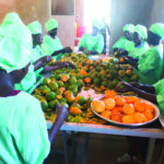 Commerce extérieur: la mangue bio hisse le Burkina à l’international