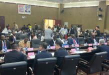Coopération ferroviaire : Experts chinois et africains partagent leurs expériences à Lhassa