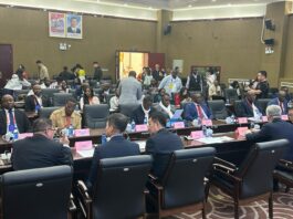 Coopération ferroviaire : Experts chinois et africains partagent leurs expériences à Lhassa