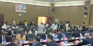 Coopération ferroviaire : Experts chinois et africains partagent leurs expériences à Lhassa