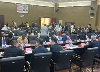 Coopération ferroviaire : Experts chinois et africains partagent leurs expériences à Lhassa