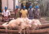 Barrage de Loumbila : cinq pêcheurs interpellés pour activités illicites