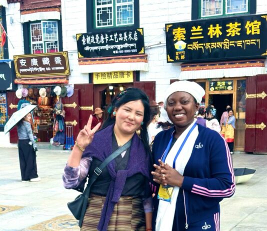 Xizang, Région autonome du Tibet : Carnet de voyage d’un séjour sur le « le Toit du monde »