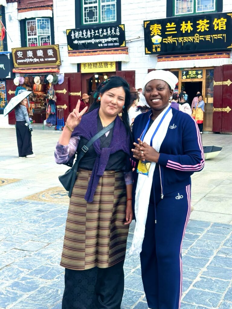  Xizang, Région autonome du Tibet : Carnet de voyage d&rsquo;un séjour sur le « le Toit du monde » 