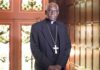 Afrique : le Cardinal Sarah accuse l’Union européenne d’exercer une « néocolonisation culturelle et économique »
