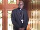 Afrique : le Cardinal Sarah accuse l’Union européenne d’exercer une « néocolonisation culturelle et économique »