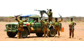 Lutte contre le terrorisme au Mali : Anéfis désormais sous contrôle des FAMa