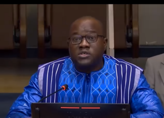 Forum politique de haut niveau sur le développement durable: le Burkina Faso porte la voix de la souveraineté et de la résilience