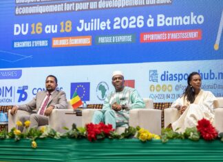 Forum international de la diaspora au Mali: le Burkina partage son expérience en matière de mobilisation de ses ressortissants