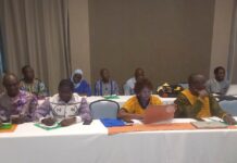 Santé au Burkina Faso : un plaidoyer pour accélérer l’accès aux innovations contre l’hémorragie du post-partum