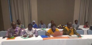 Santé au Burkina Faso : un plaidoyer pour accélérer l’accès aux innovations contre l’hémorragie du post-partum