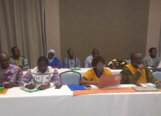 Santé au Burkina Faso : un plaidoyer pour accélérer l’accès aux innovations contre l’hémorragie du post-partum