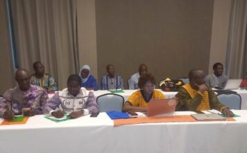 Santé au Burkina Faso : un plaidoyer pour accélérer l’accès aux innovations contre l’hémorragie du post-partum