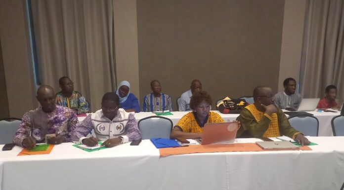Santé au Burkina Faso : un plaidoyer pour accélérer l’accès aux innovations contre l’hémorragie du post-partum
