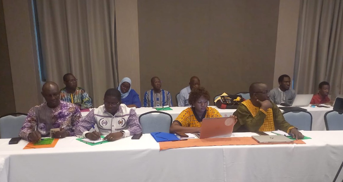 Santé au Burkina Faso : un plaidoyer pour accélérer l’accès aux innovations contre l’hémorragie du post-partum