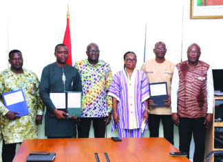 Diaspora Bonds : 85 milliards F CFA injectés dans SN BRAFASO, SOPAMIB et CIM SAHEL
