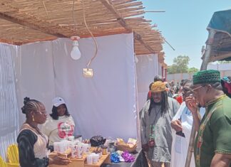 Première édition du festival Afro renai-science: Valoriser le patrimoine capillaire africain
