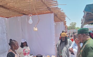 Première édition du festival Afro renai-science: Valoriser le patrimoine capillaire africain