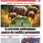 Une Carrefour africain n° 1328-juin 2026
