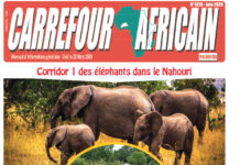 Une Carrefour africain n° 1328-juin 2026