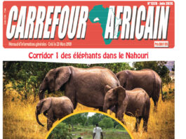 Une Carrefour africain n° 1328-juin 2026