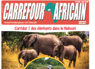 Une Carrefour africain n° 1328-juin 2026
