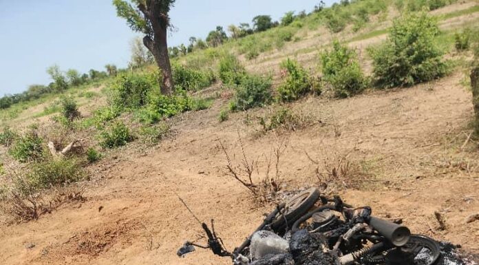Les nouvelles du front: les Forces combattantes consolident leurs avancées territoriales en nettoyant plusieurs repaires terroristes