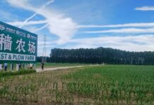District de Pinggu : Immersion au cœur de l’agriculture intelligente chinoise