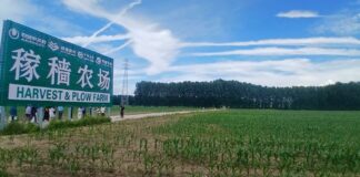 District de Pinggu : Immersion au cœur de l’agriculture intelligente chinoise