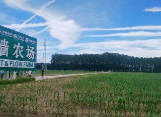 District de Pinggu : Immersion au cœur de l’agriculture intelligente chinoise