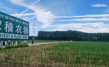 District de Pinggu : Immersion au cœur de l’agriculture intelligente chinoise