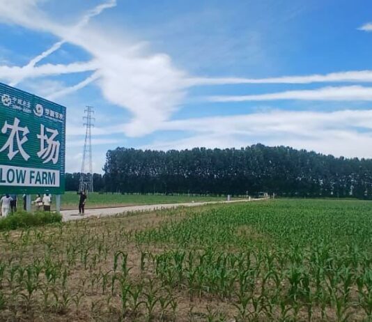 District de Pinggu : Immersion au cœur de l’agriculture intelligente chinoise