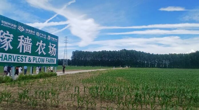 District de Pinggu : Immersion au cœur de l’agriculture intelligente chinoise