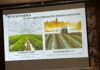 Région autonome ouïghoure du Xinjiang :Des journalistes africains échangent avec des responsables du Corps de production et de construction