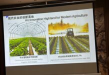 Région autonome ouïghoure du Xinjiang :Des journalistes africains échangent avec des responsables du Corps de production et de construction