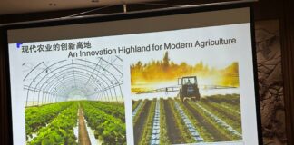 Région autonome ouïghoure du Xinjiang :Des journalistes africains échangent avec des responsables du Corps de production et de construction