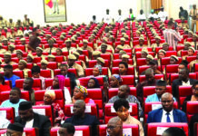Jeunesse de la Confédération AES : utiles échanges avec Bassolma Bazié