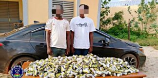 Lutte contre le trafic de stupéfiants : La Police Nationale saisit 5.000 plaquettes de tramadol dans le Oubri