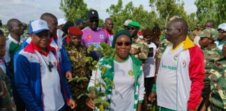 Reforestation du couvert végétal : la campagne régionale du Guiriko lancée