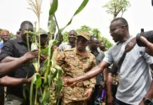 Campagne agro-pastorale dans le Bam : le ministre d’Etat Sombié félicite les producteurs et agents techniques