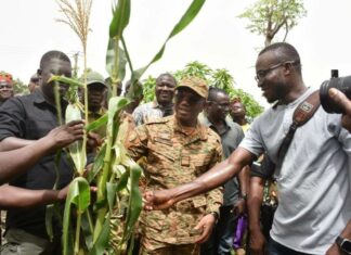 Campagne agro-pastorale dans le Bam : le ministre d’Etat Sombié félicite les producteurs et agents techniques