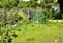 Exploitation artisanale de l’or à Kaya-Kaforo : les filons d’un orpaillage plus vert et organisé
