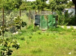 Exploitation artisanale de l’or à Kaya-Kaforo : les filons d’un orpaillage plus vert et organisé