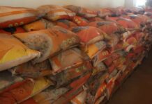 Bobo-Dioulasso : plus de 23 tonnes de riz avariés saisies par la Douane