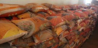 Bobo-Dioulasso : plus de 23 tonnes de riz avariés saisies par la Douane