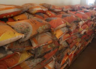 Bobo-Dioulasso : plus de 23 tonnes de riz avariés saisies par la Douane