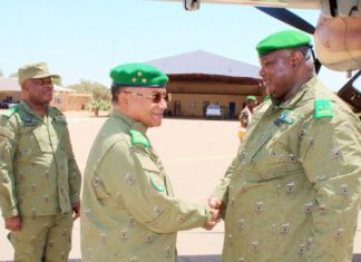 Agadez/Niger : le chef d’Etat-major de l’armée de Terre en mission d’inspection des troupes